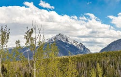 21 Deborah share B Lane, SILVERTHORNE, CO 80498