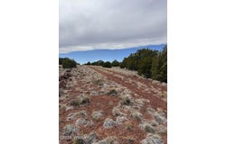 38 CR 8250, Concho, AZ 85924