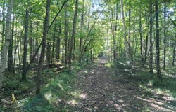 20 National Trail/Star Lake Road, Crandon, WI 54520