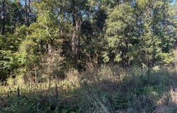 Joyner Lane, Charleston, SC 29492