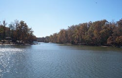 60 Vineyard, Abbeville, SC 29620