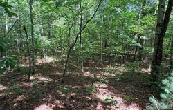 Grassy Knob Road, Mill Spring, NC 28756