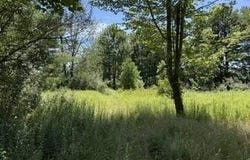 Kellows Road, Honesdale, PA 18431