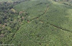 Smith County Road, Raleigh, MS 39153