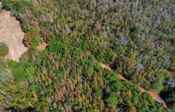 Hwy 14 E, Selma, AL 36701