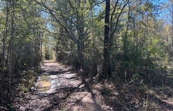Highway 550, Union Church, MS 39668
