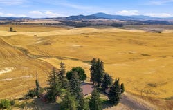 11213 E CAMERON Rd, Fairfield, WA 99012