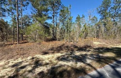 SE 130 Court lot: 5, DUNNELLON, FL 34431