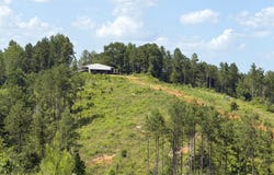 Boggs Rd, Toxey, AL 36921