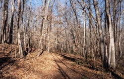 Morosko Lane lot: 5, Pilot Mountain, NC 27041