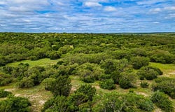 Morris Ranch Rd, Mountain Home, TX 78880