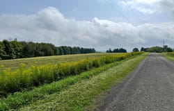 1.1 Brigham Rd, Richford, NY 13835