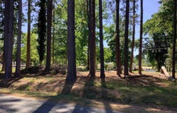 530 Marina Way, Prosperity, SC 29127-0000