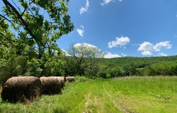 Farm Road 1280, Shell Knob, MO 65747