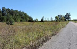 577 Starlanding, Hernando, MS 38632
