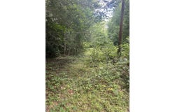 Slick Rock Rd, Eolia, KY 40826