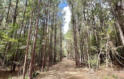 2 Clara Foote Rd, Braxton, MS 39044
