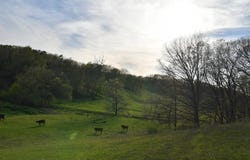 45507 S 660 Rd, Jay, OK 74346