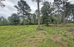 Old 63 N Highway, Lucedale, MS 39452
