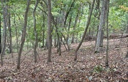 Muirfield Drive lot: 709, Porto Cima, MO 65079