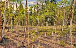 126 S Quarter Horse Road lot: 29, COMO, CO 80432