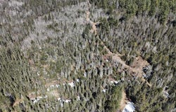 80 Acres CTH CC, Tomahawk, WI 54487