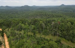 Jumbo Road, Melbourne, AR 72556