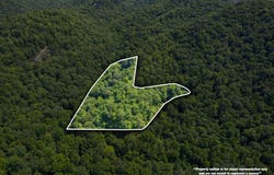 OFF Little E Fork Road, Canton, NC 28716