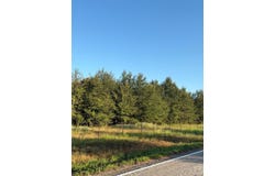 TRACT 7 HWY 990, Simms, TX 75574
