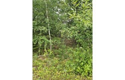 11 Kellen Drive, Kenduskeag, ME 04450