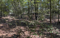 Calvary Circle, Lonoke, AR 72086