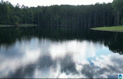 799 MAGNOLIA LANE lot: 1, VANDIVER, AL 35147