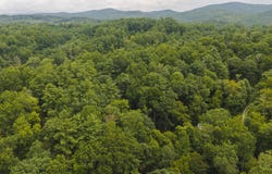 Yankee Run Rd, Marion, NC 28752