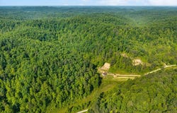 1068 Stingy Fork Rd, West Liberty, KY 41472