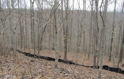 W Bobcat Lane lot: 60, Wilder, TN 38589