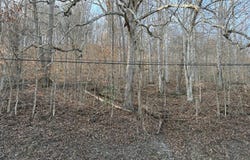 Campton Road, Stanton, KY 40380
