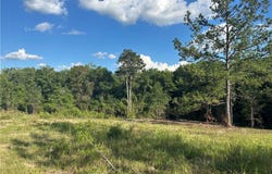 Lott Road, Chunchula, AL 36521