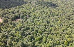 CR5, Witt Springs, AR 72686