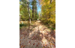 11326 BERG ROAD, KALEVA, MI 49645
