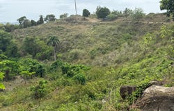 Canovanas, Canovanas, PR 00729