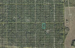 DONNA Street, HASTINGS, FL 32145