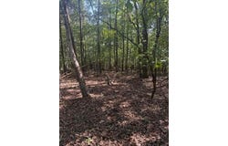 BALL PARK Rd, Phil Campbell, AL 35581