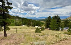 741 Junkins Loop, Westcliffe, CO 81252