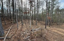 14-33 Kristen Lane lot: 14, McCormick, SC 29835
