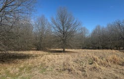 PR 44005, Blossom, TX 75416