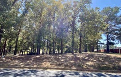 Easy St lot: 32, Frankston, TX 75763