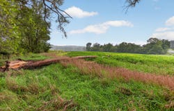 V/L E Austin Road, Manchester, MI 48158