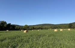 County Road 906, Green Forest, AR 72638