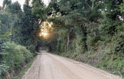 Old Moore Road, Portal, GA 30450