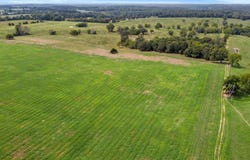 State Highway Ff, Caulfield, MO 65626